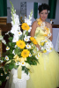 Daisy